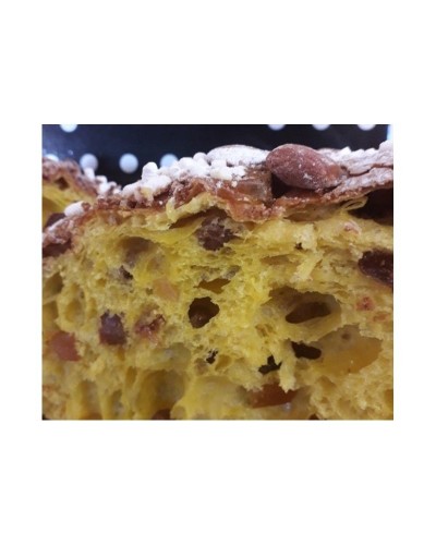 PANETTONE TRADIZIONALE