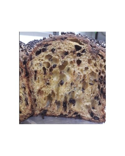 PANETTONE AL CIOCCOLATO